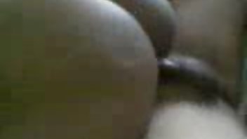 Plavuša s curlersima i njezinim seljakom 1 beach cabin porno