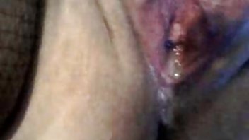 Djevojka brija porno machin mačku, milujući je na putu