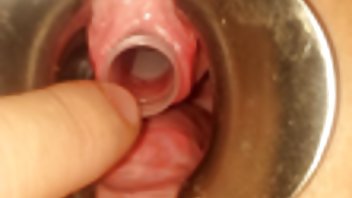 Brat video trans sex i sestra